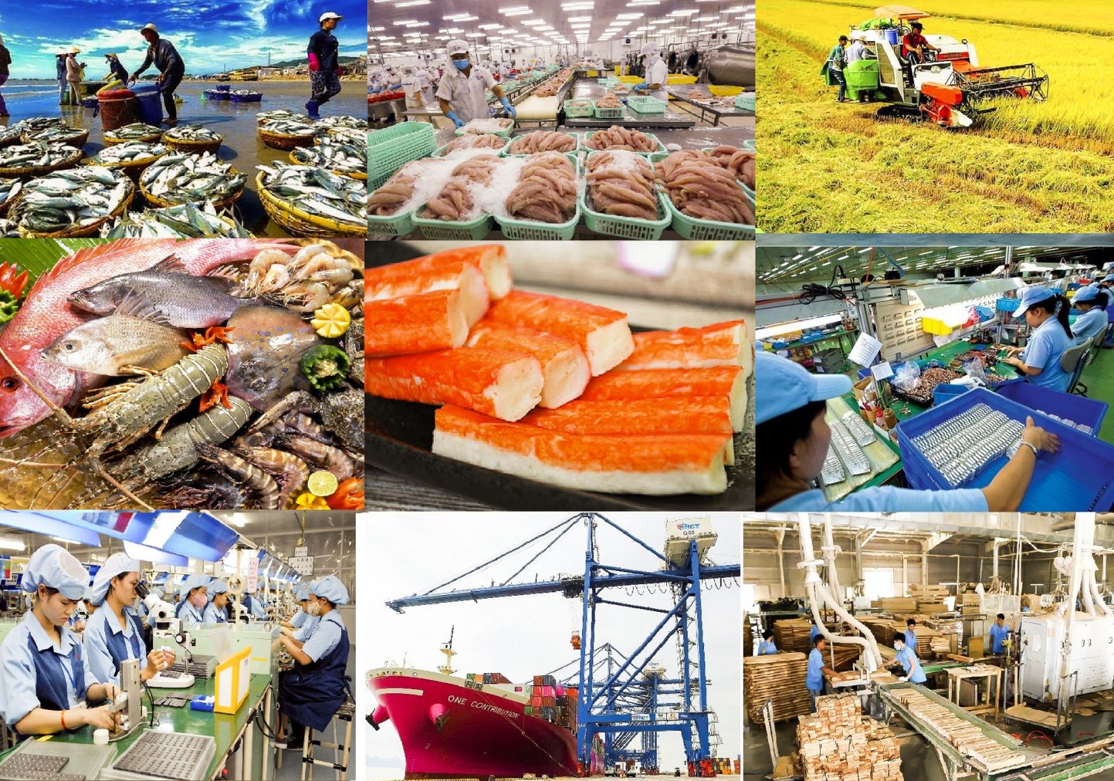 Nền kinh tế Việt Nam sẽ chiến thắng Covid-19 như thế nào?